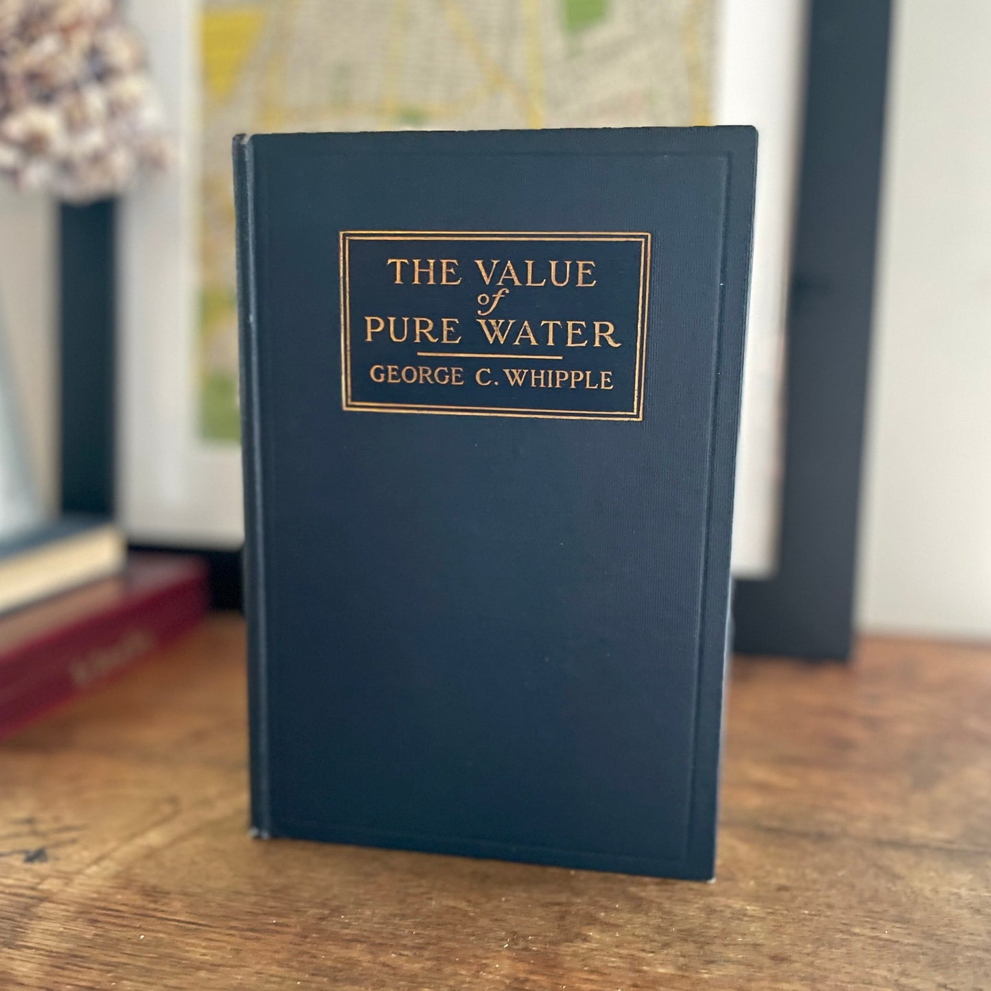 The Value of Pure Water by George C. Whipple - First Edition  First Thousand 1907